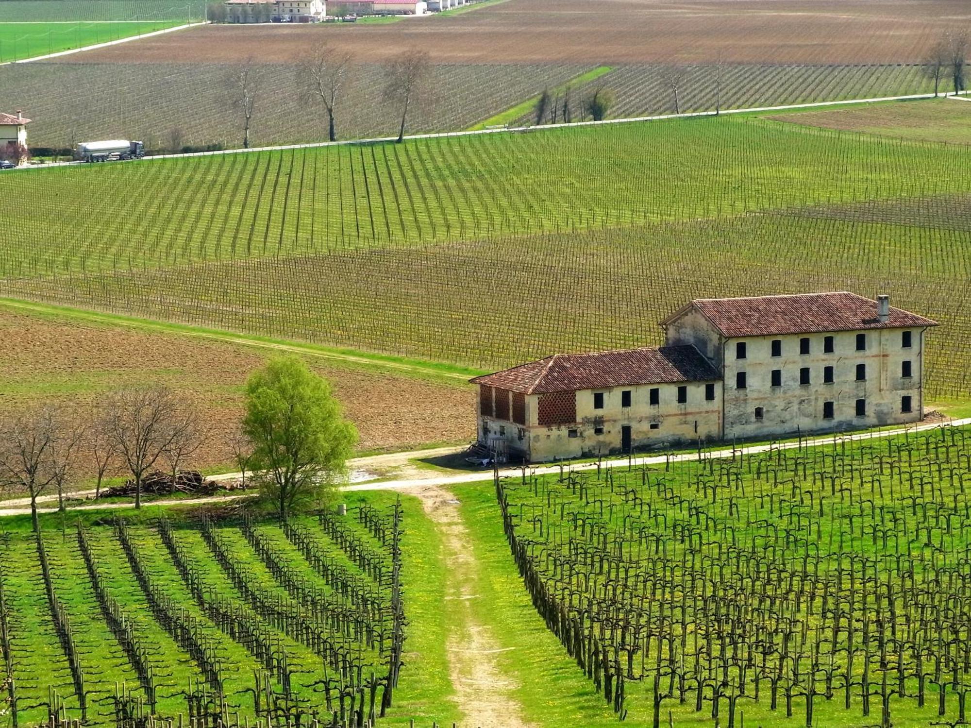 Hotel Conta Taste The Experience Pieve di Soligo Exterior photo